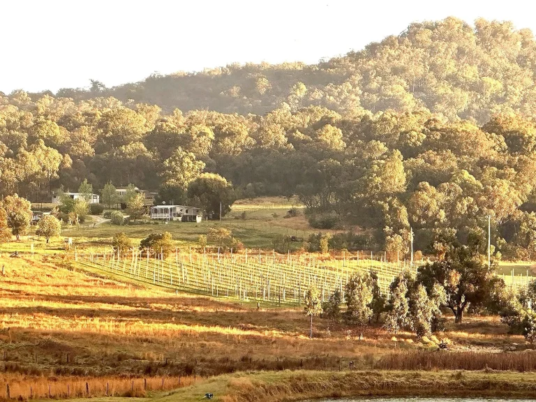 views over the vineyards at Serrena Que Estate
